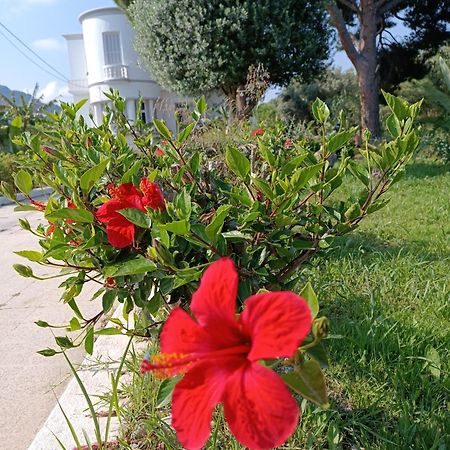 Tower Traditional Pool Villa Κρεμαστή Εξωτερικό φωτογραφία
